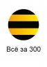 beeline&nbsp;vse-za-300